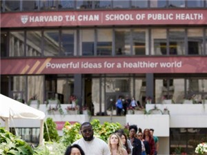 Harvard "kết thân" với các TikToker về sức khỏe tinh thần